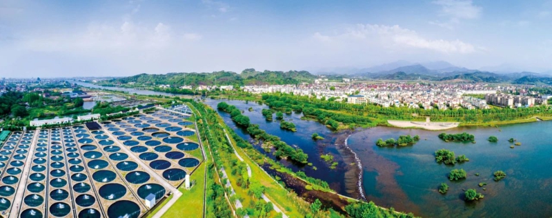 welcome海洋之神(集团)有限公司