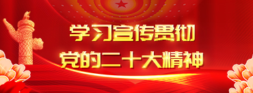 W020221024289586378337